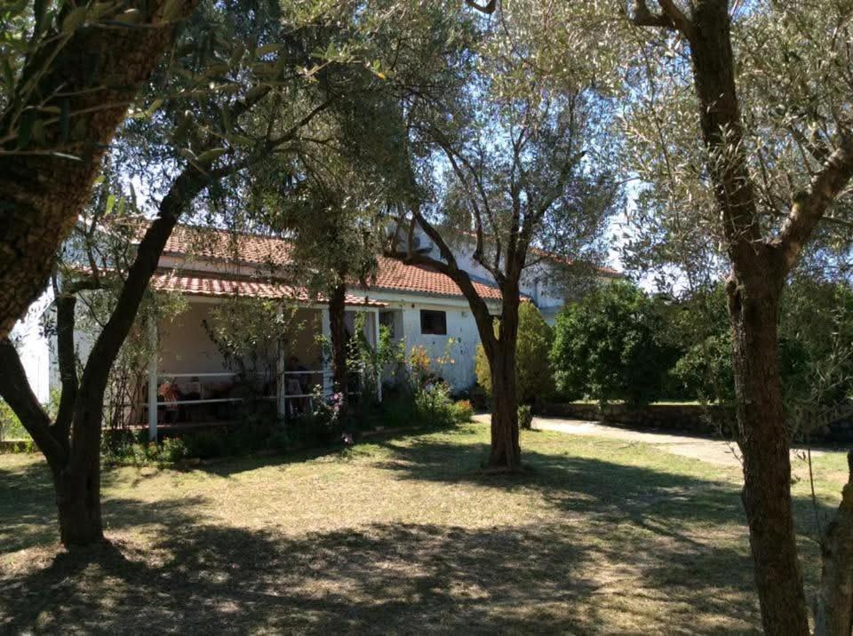 a house in the middle of a yard with trees at Villa Pistula apartments in Ulcinj