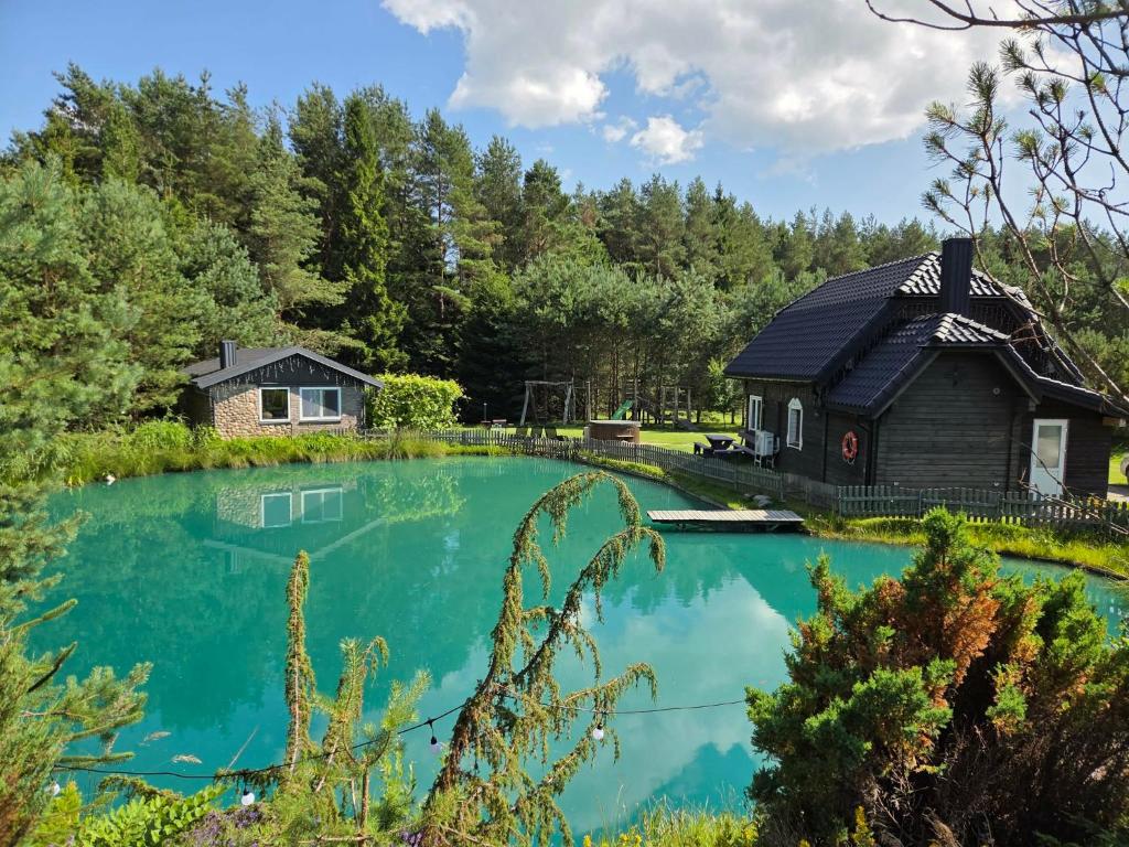a house and a pond with a cabin at Sodyba Atgaiva in Lazdininkai