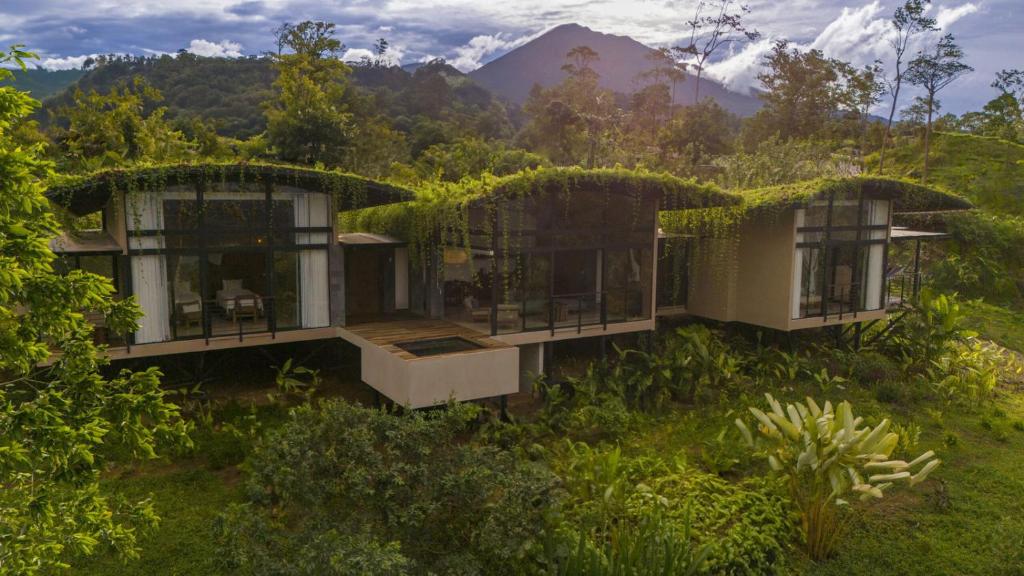 an image of a house with grass roofs at Origins Astral in Bagaces