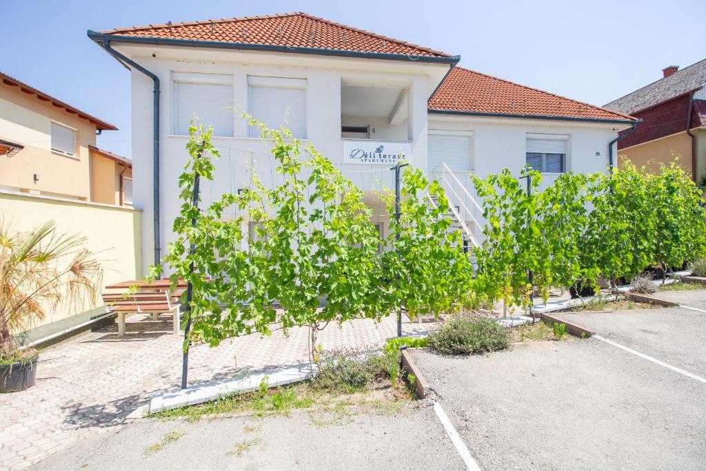 a row of tomato plants in front of a house at Déli Terasz A Apartman Free parking, self-check-in anytime in Győr