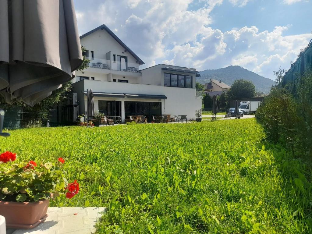 a house with a green yard with flowers at Pensiunea Cascada in Borşa