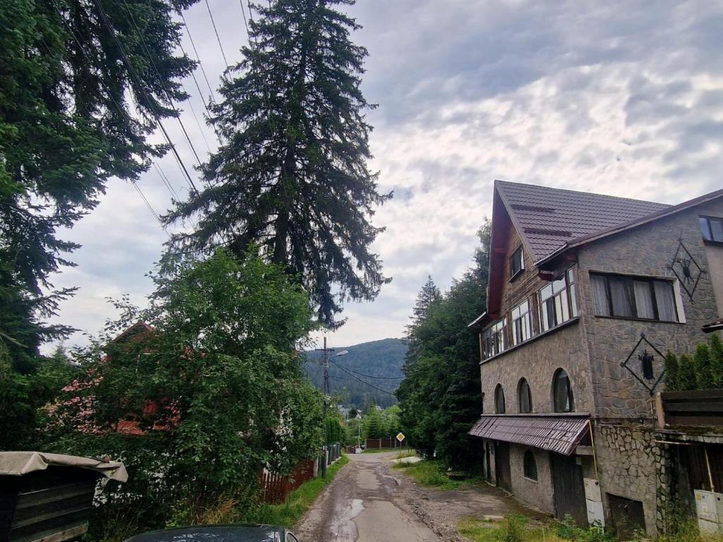 a tree on the side of a road next to a house at Casa Ursilor in Predeal