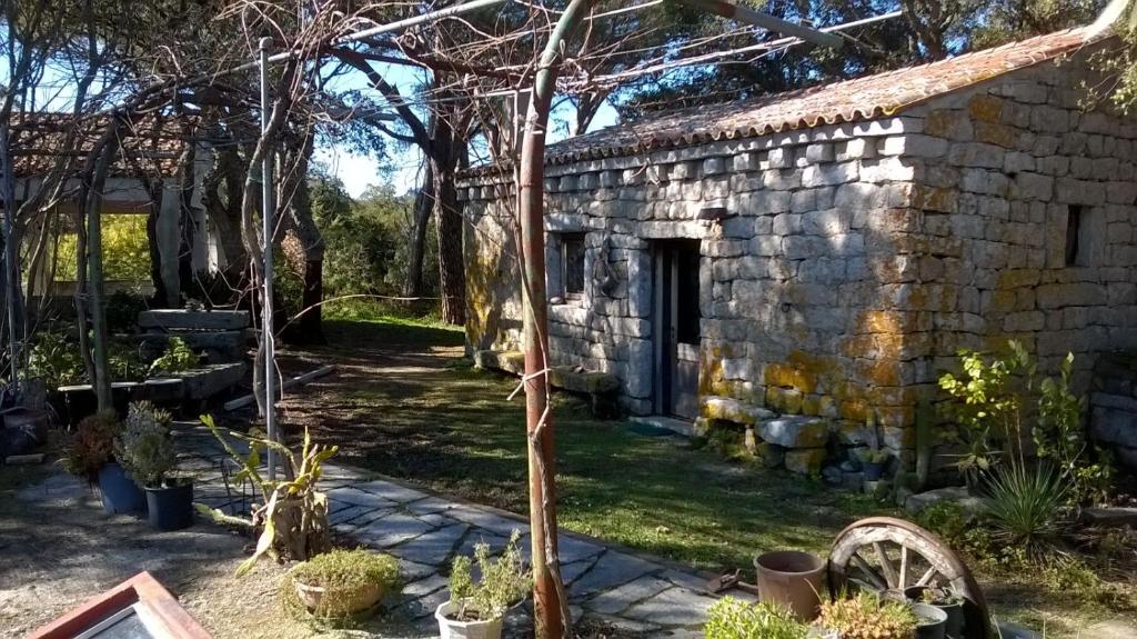 ein altes Steingebäude mit einem Baum im Hof in der Unterkunft Agriturismo La Vigna in Tempio Pausania