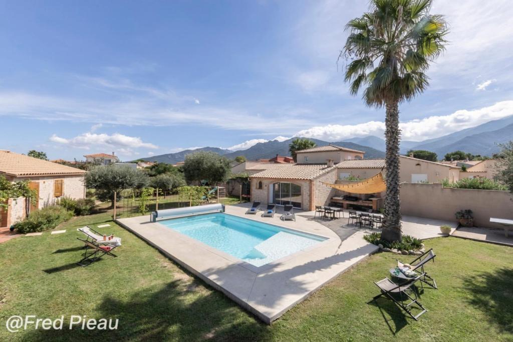 a backyard with a swimming pool and a palm tree at Mas Cairou in Sorède