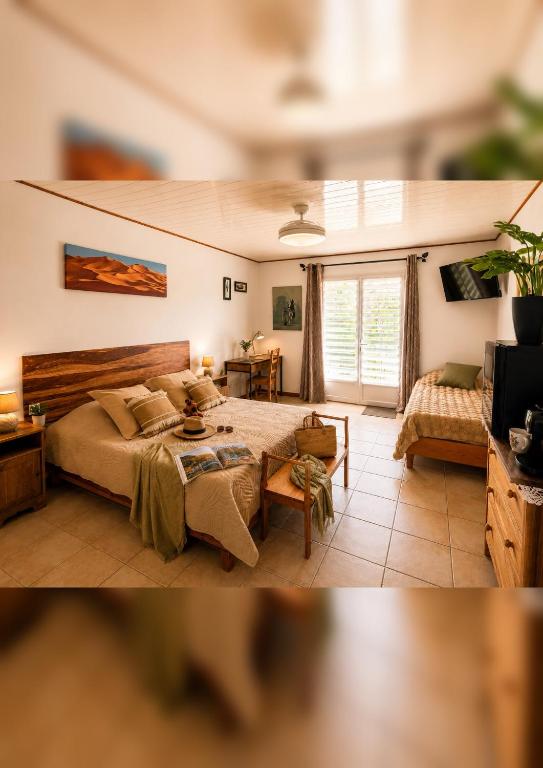 a bedroom with a large bed and a tv at Oasis Des Corbières in Boutenac