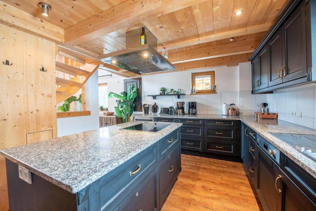 a kitchen with blue cabinets and a wooden ceiling at Almhäuser Filzsteinalpe Almhaus 204 in Krimml