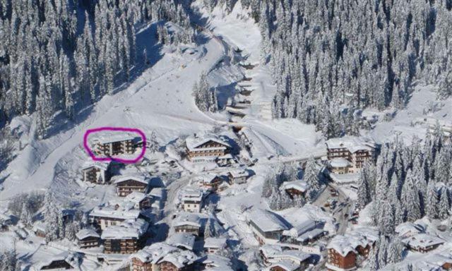 una vista aerea di una stazione sciistica coperta di neve di Pradalago a Madonna di Campiglio