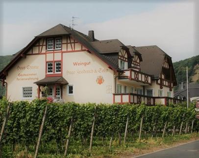 a large white house with a fence in front of it at Ferienweingut Haus Christa in Briedern