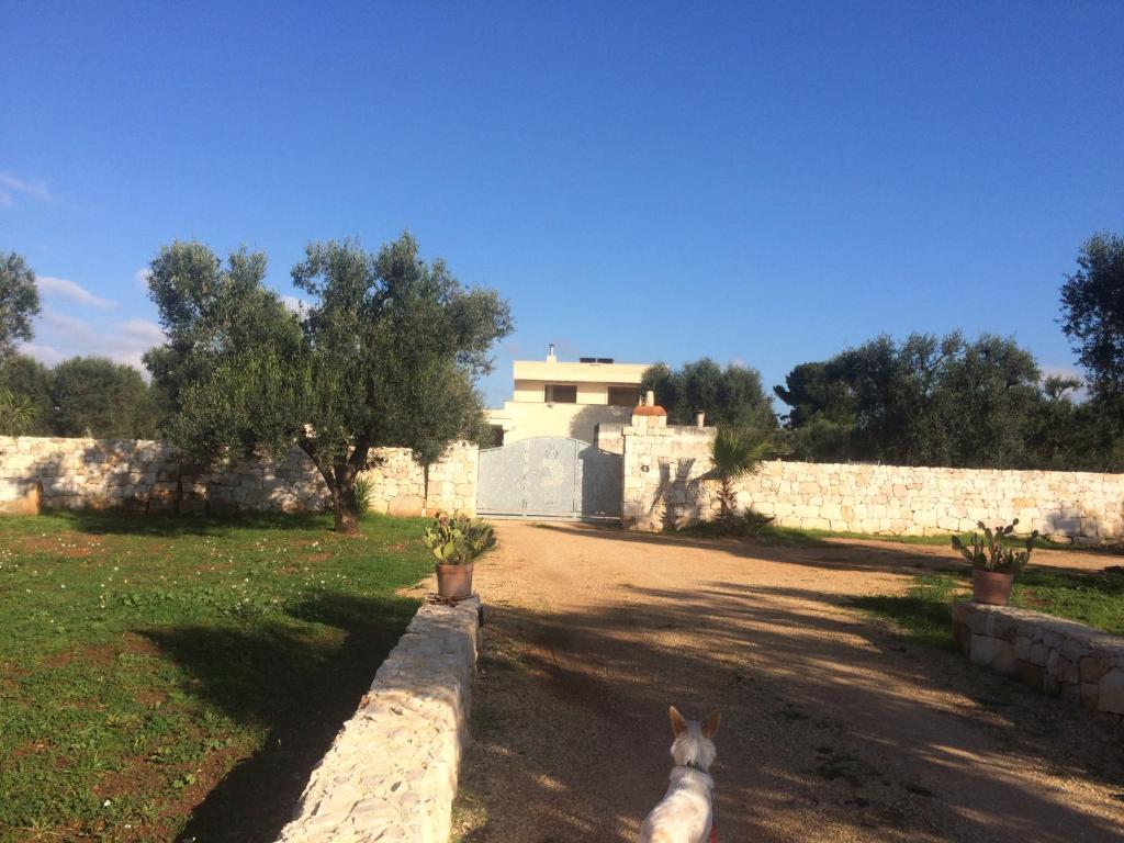 Casa Eva