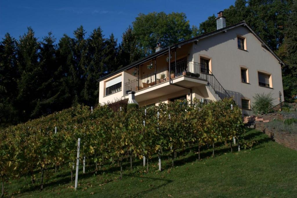 a house on top of a hill with bushes at CasaVitis "Erholung am Weinberg" in Lontzen