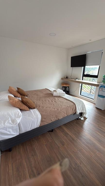 a bedroom with a bed and a flat screen tv at Hospedaje Anas inn - guesthouse in Ezeiza