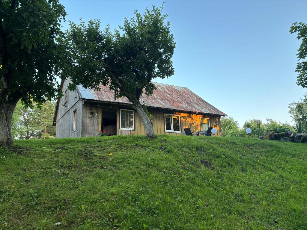 an old house on top of a grassy hill at Stovyklavietė Dauba in Šyliai