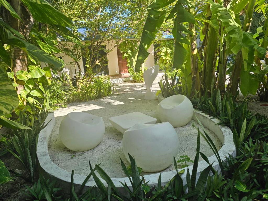 a group of white chairs sitting in a garden at Garden Rooms by Shams Thoddoo in Thoddoo