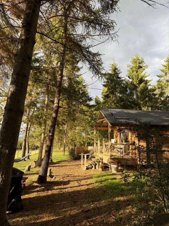 a wooden cabin in the woods with trees at Pinetree Lodge, Cotswolds in Mickleton