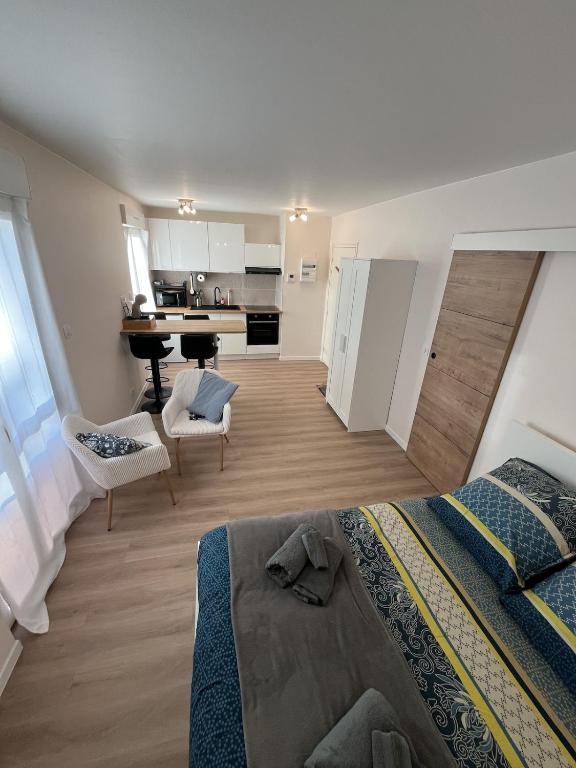 a large room with a bed and a kitchen at Le Charles Quint in Gray