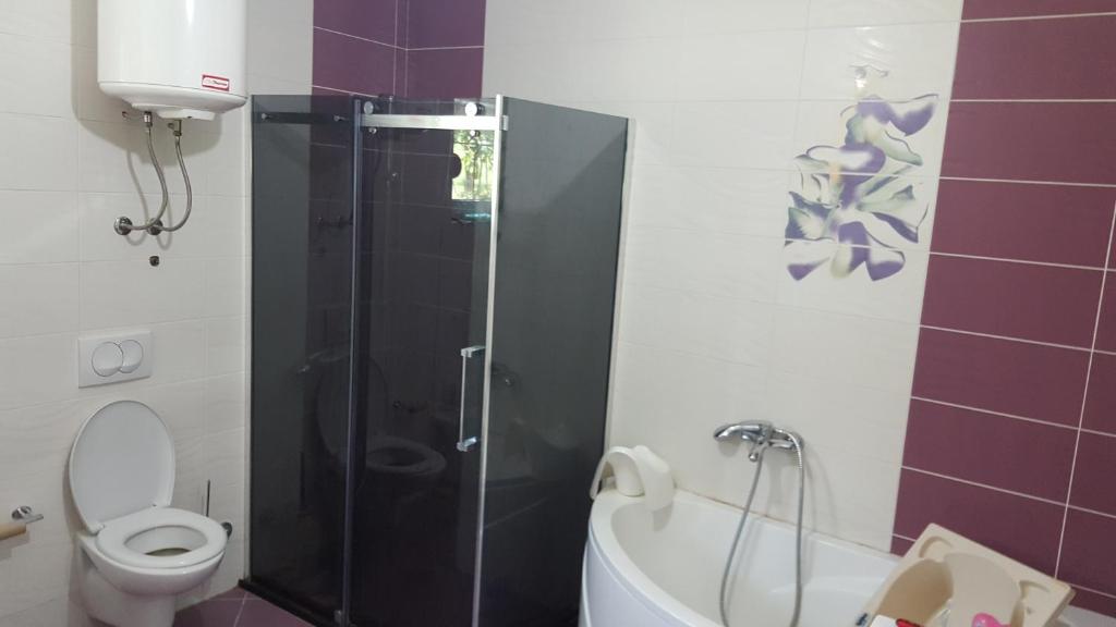 a bathroom with a toilet and a glass shower at Buljarica Bay Apartments in Petrovac na Moru