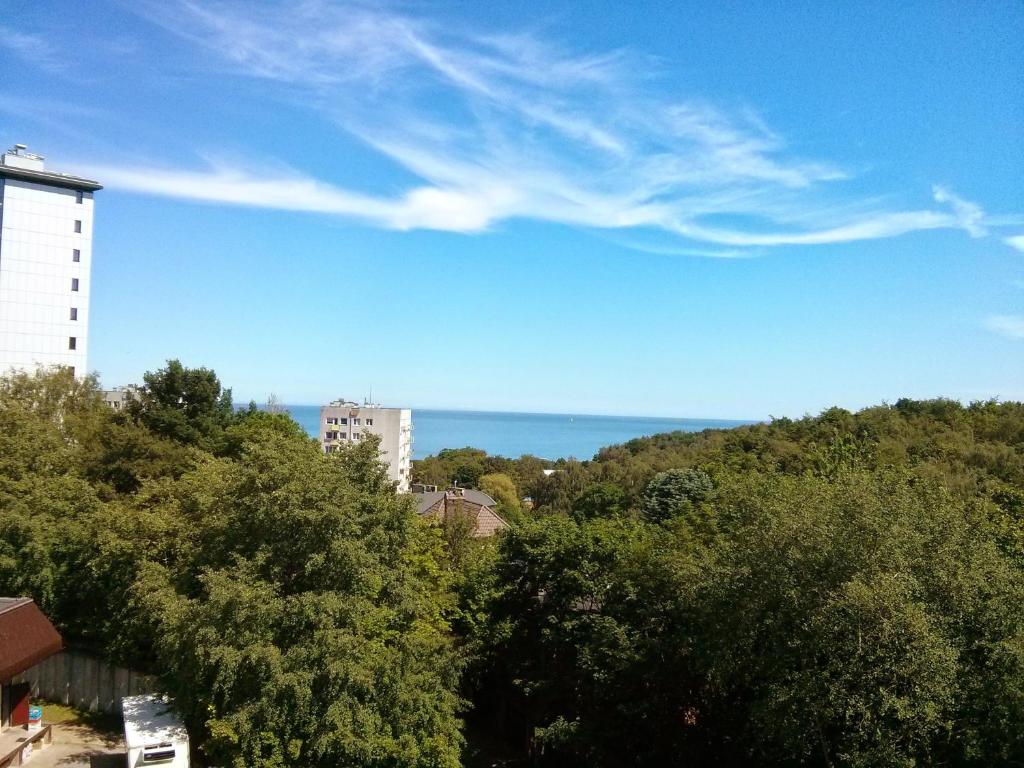 widok na drzewa i ocean z budynku w obiekcie Apartament z widokiem na morze w mieście Gdynia