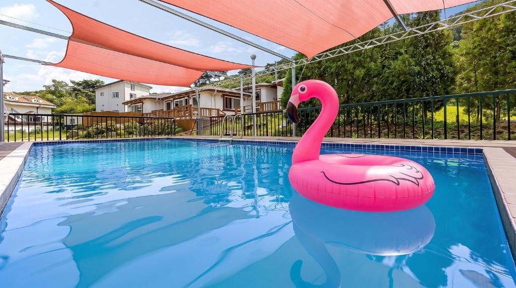 a pink flamingo swimming in a swimming pool at Ganghwa Herb Pension in Incheon