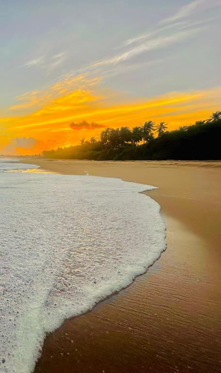 a view of the beach at sunset at Rekawa Turtle Gate Hotel in Tangalle