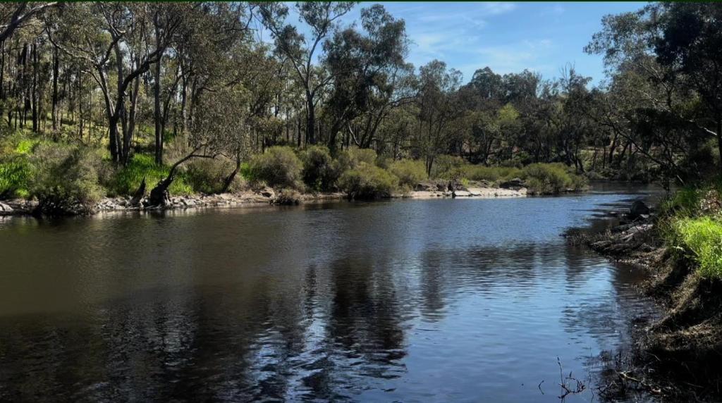 a river with trees on the side of it at Riverfront, Tiny Home in Natural Bush in Bridgetown