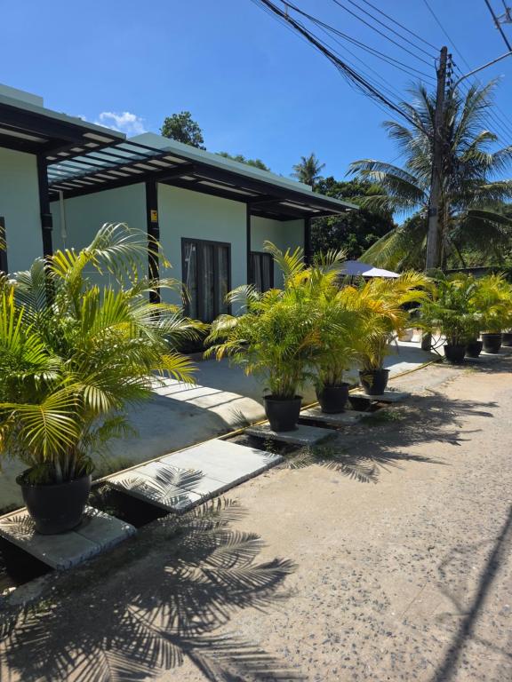 a row of potted plants in front of a building at Tiffany Villa 2 in Ko Phangan