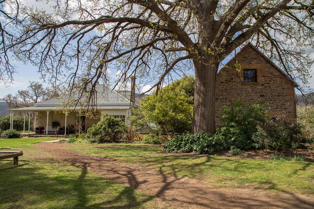 a house with a tree and a bench in front of it at Twamley Farm in Buckland