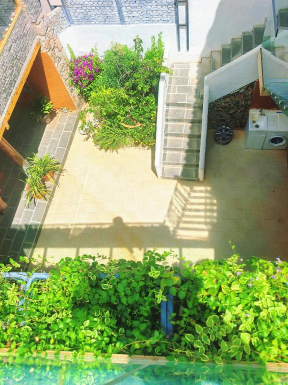 an overhead view of a yard with plants at Nostalgia 28 Narrative Mountain Retreat in Baisha