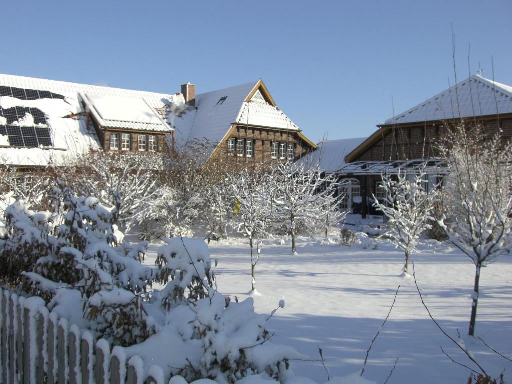 The Cosy Home v zimě