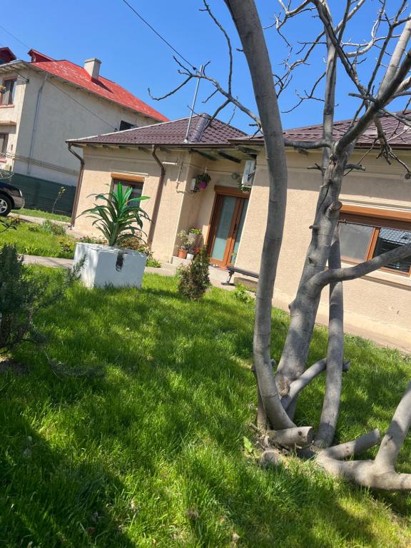 a house with a yard with green grass at Casa Rodica in Mangalia