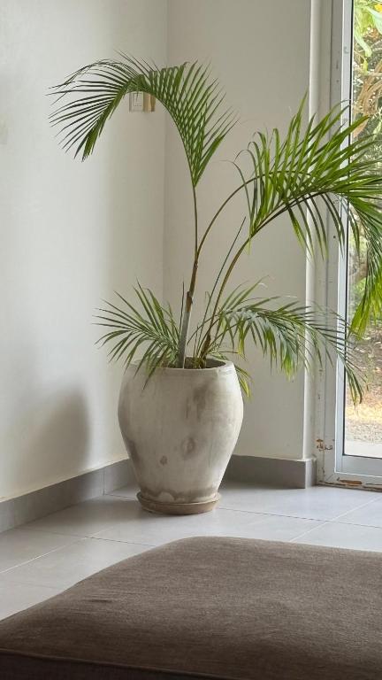 a plant in a white vase sitting in a room at ZanziBlue Beach Hotel in Mfumbwi