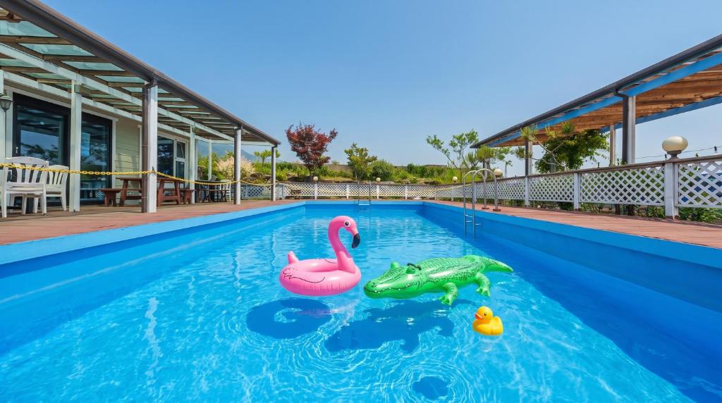 a swimming pool with a toy turtle and a flamingo and a pink swan at Yangyang Monti Pet Spa Pension in Yangyang
