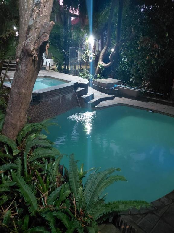 a swimming pool in a garden at night at Laletsa Lodge in Durban