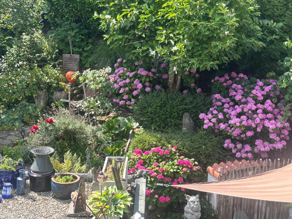 a garden filled with lots of different types of flowers at Tor zum Bodensee in Stockach