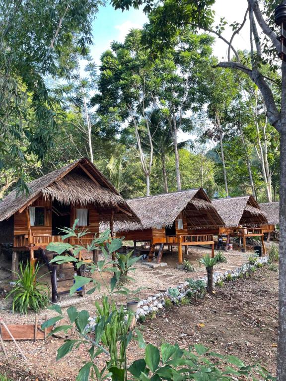 a group of wooden huts in a forest at Khao Phang Camping in Ban Pha Saeng Lang