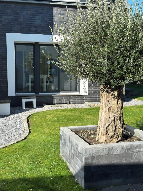ein Baum in einem Steinkübel vor einem Haus in der Unterkunft Ferienwohnung Forstblick in Kranenburg