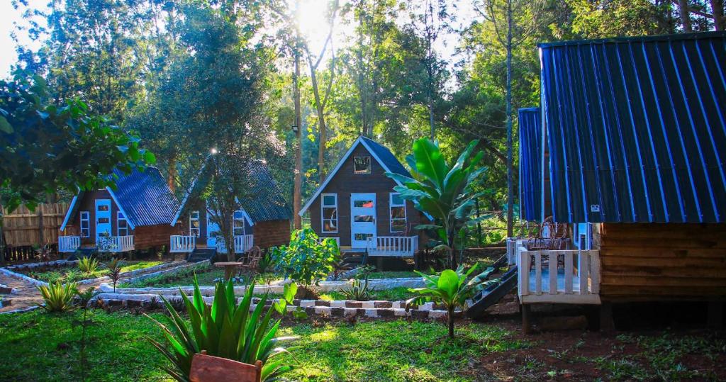 a group of small houses in a yard at Riverside chania resort in Nyeri