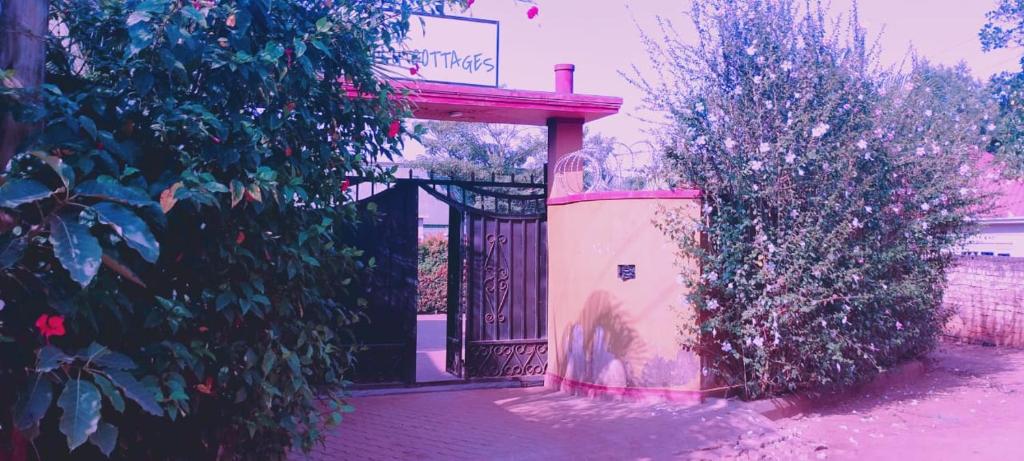 an entrance to a building with a gate and a bush at SolBlu Cottages in Kira