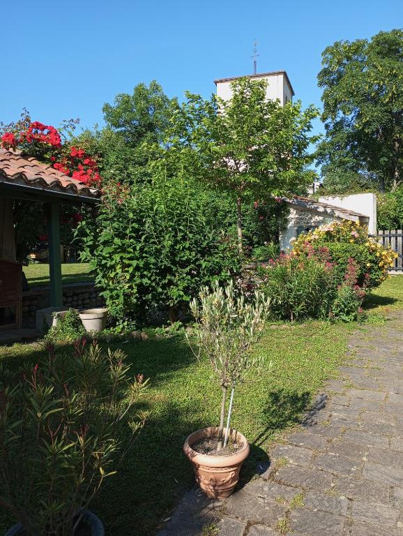 a garden with a potted plant in a yard at Le havre du voyageur in Charly