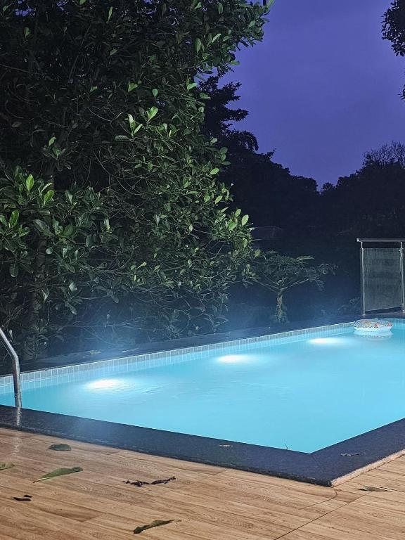 a swimming pool at night with a tree at Nature View Friends Villa - The Dream Stays ll Infinity Big pool ll 3Rooms ll Wi-Fi in Lonavala