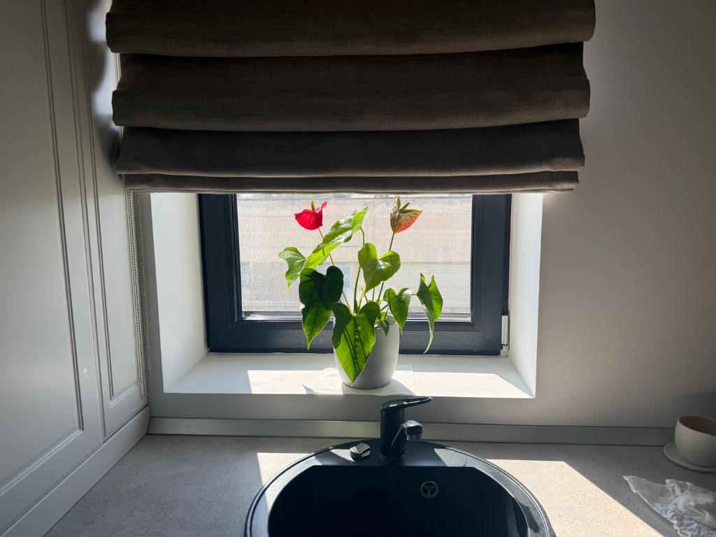 a window with a vase with a red flower in it at Cely's Ap Class Park in Târgovişte