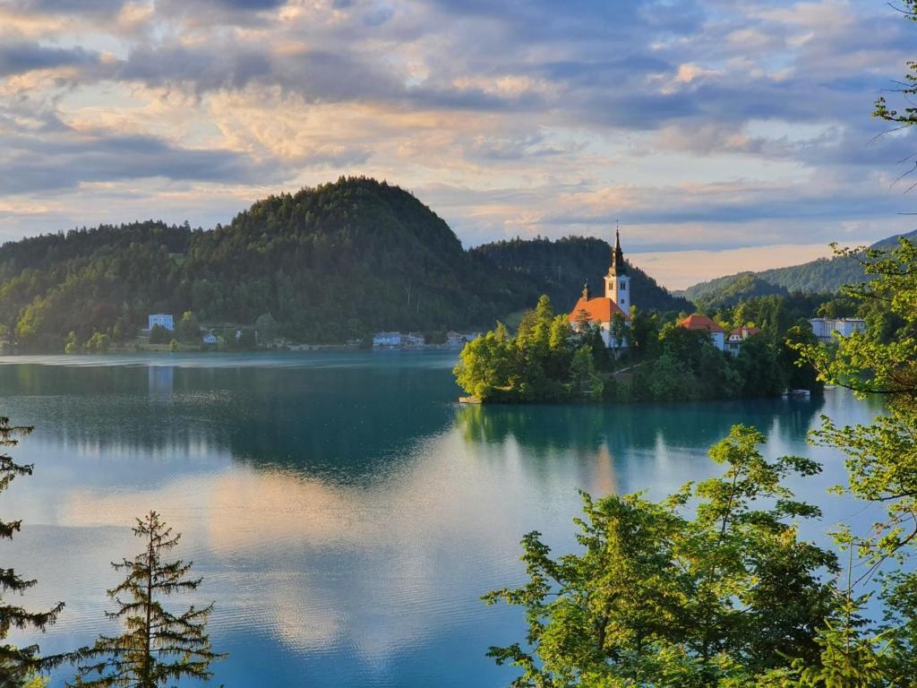 an island in the middle of a lake with a church at Sovica in Bled