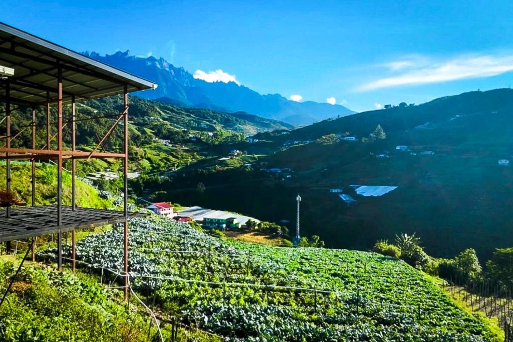 a view of a valley from a mountain at Triple A Kundasang in Ranau
