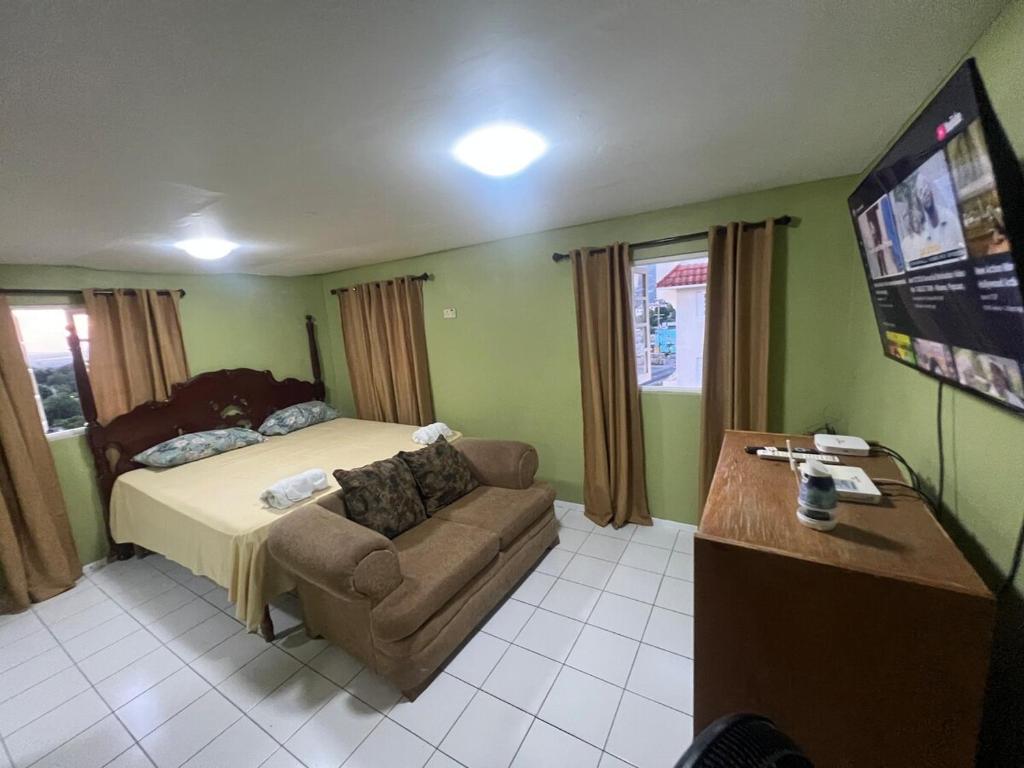 a bedroom with a bed and a couch and a flat screen tv at Grand One Bedroom Studio Apt in Kingston