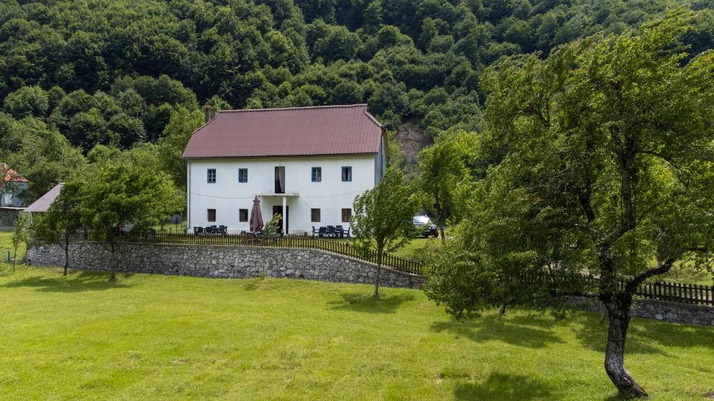 a white house with a stone wall and a tree at Bujtina Mitaj in Vermosh