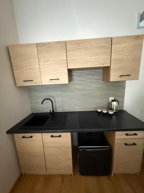 a kitchen with a sink and wooden cabinets at Leśna Przystań in Pojezierze