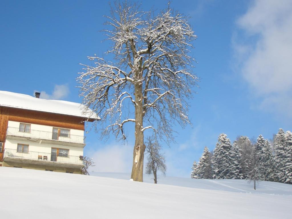Ferienwohnung Panorama v zime