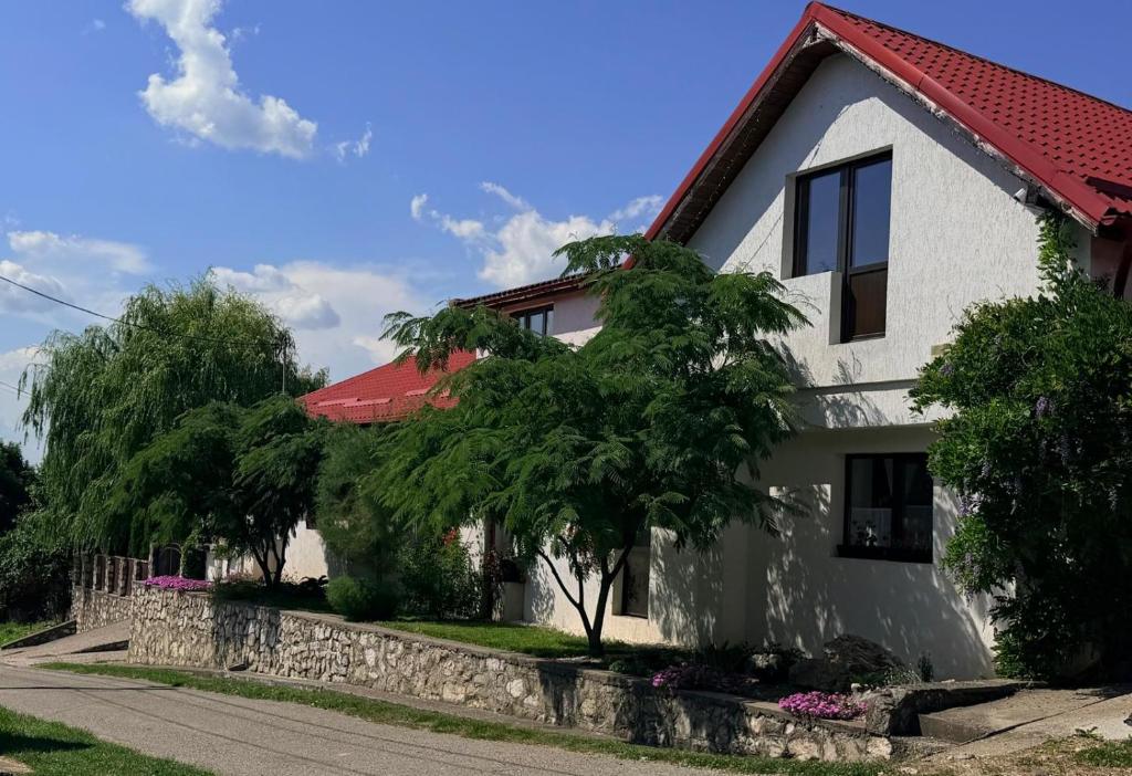 a white house with a red roof at Casa de Vacanta Potoc - poarta ta spre Cheile Nerei in Potoc