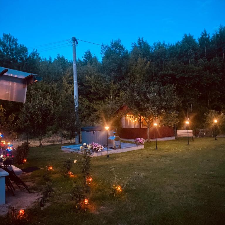 a backyard at night with lights in the grass at Magia Leśnych Dolin Zwiartów 44, 22-610 Krynice in Zwiartów