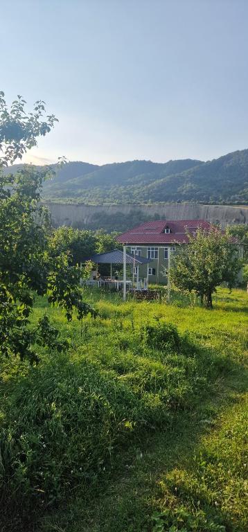 a field of grass with a building in the background at GreenHouse in Qusar