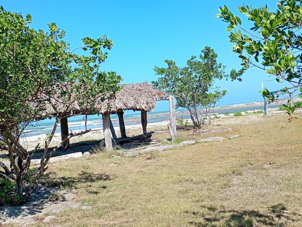 a hut on the beach with the ocean in the background at Astilleros Santa Veronica in Santa Verónica